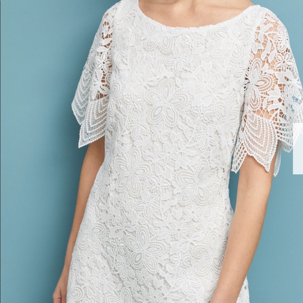 Anthropologie Charleston Lace Mini Dress. Plus Size